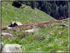 foto Malga Val Cion